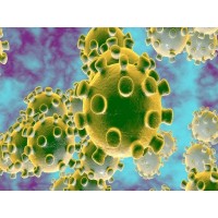 COVID-19 Outbreak: How Virtual Classroom can help schools during Coronavirus scare